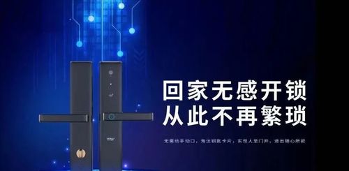 王力安防（605268）未来五年投资价值深度分析